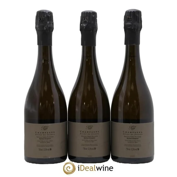 Roses de Jeanne Côte de Val Vilaine Blanc de Noirs Cédric Bouchard 2022